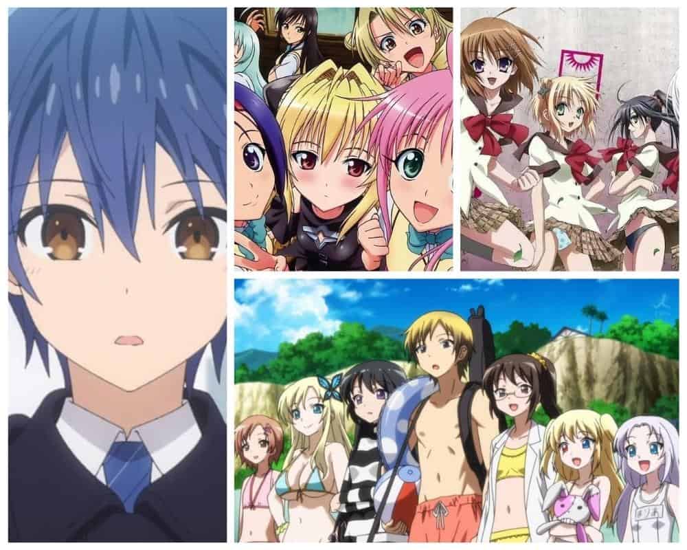 Best Anime To Watch In 2022 If You Liked High School DxD  OtakuKart