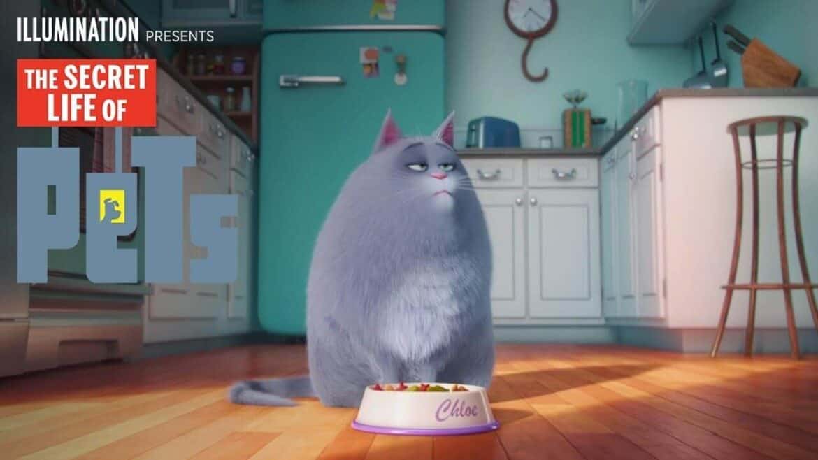 Chloe - The Secret Life of Pets - fat Cartoon Cat Characters