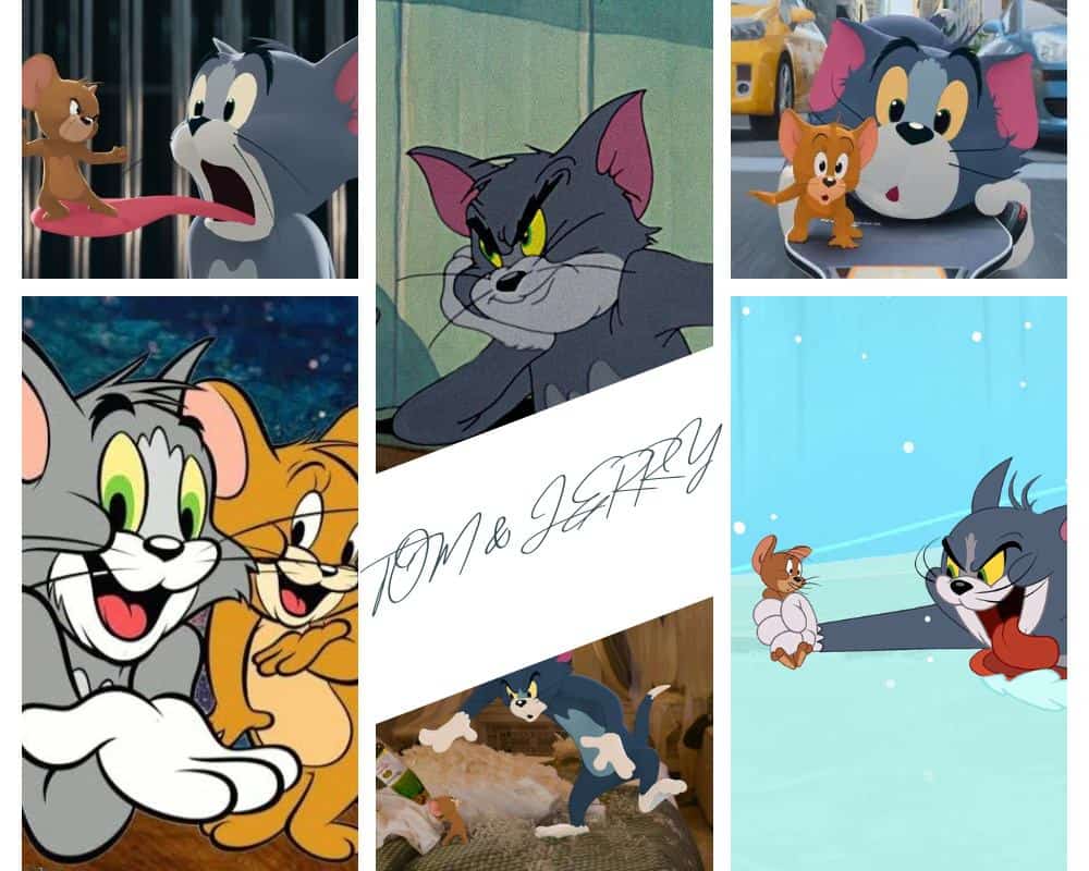 Exploring The Relationship Between Tom and Jerry | CartoonVibe