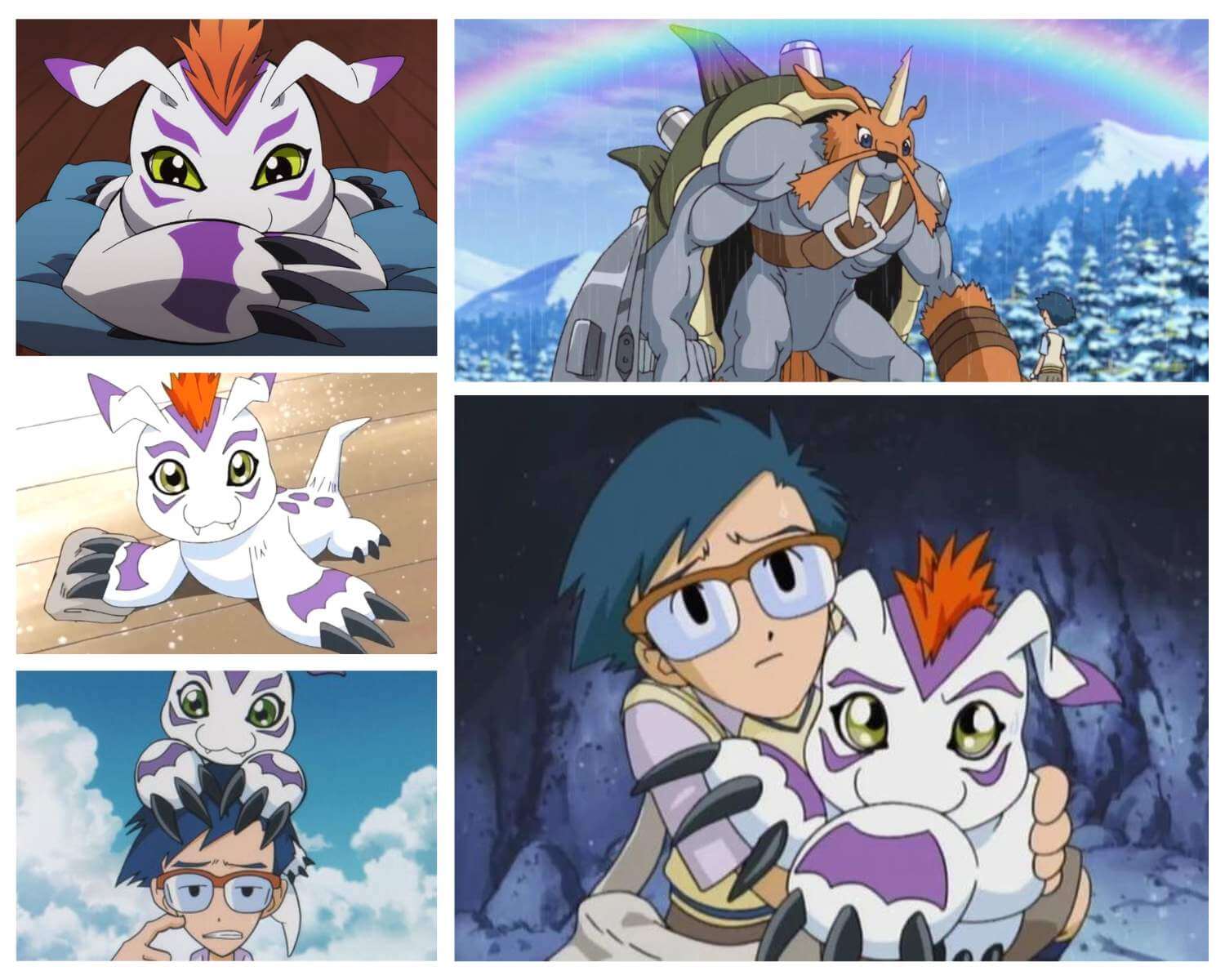 Gomamon The Ultimate Guide to This Adorable Digimon