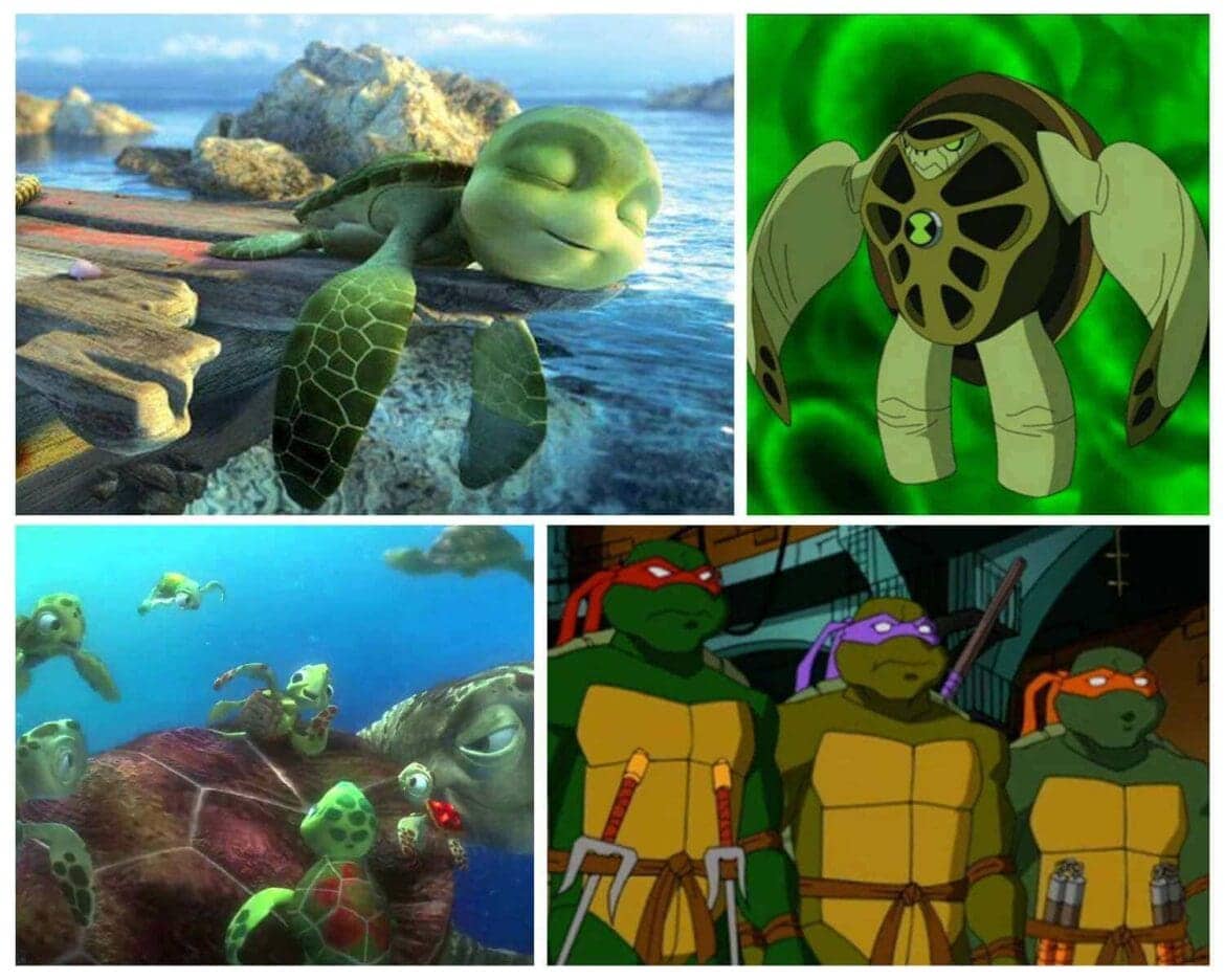 Turtle Cartoon Watch 18 Famous Turtle Cartoon Characters, Ranked