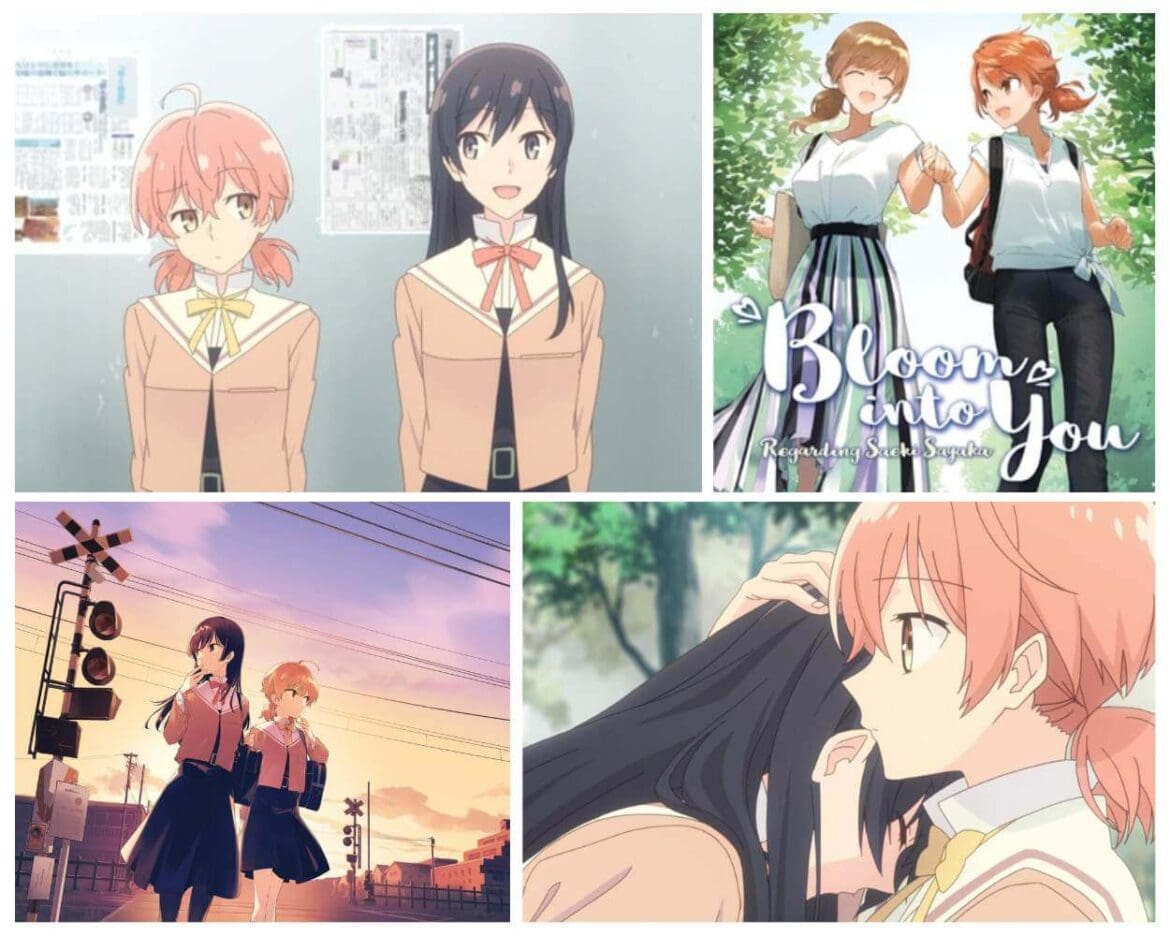 Stream Bloom Into You on HIDIVE