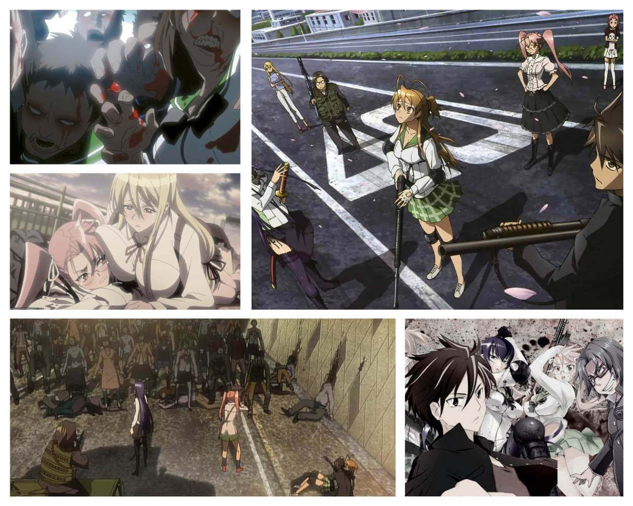  High School of the Dead - Intégrale + OAV - Edition