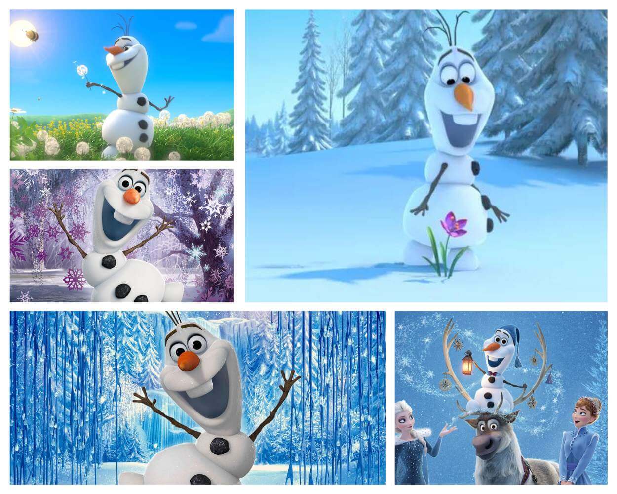 Olaf's Unexpected Wisdom