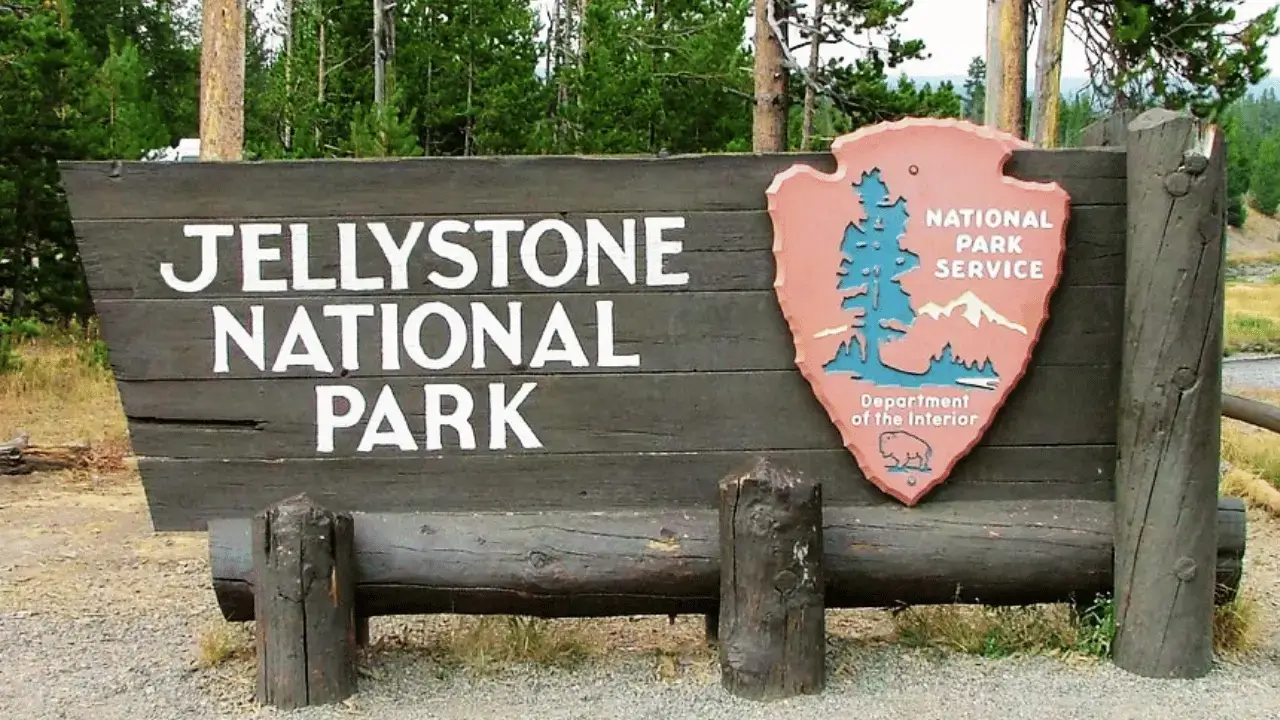 Yogi Bear in Jellystone Park, the fictional home that inspired real campgrounds