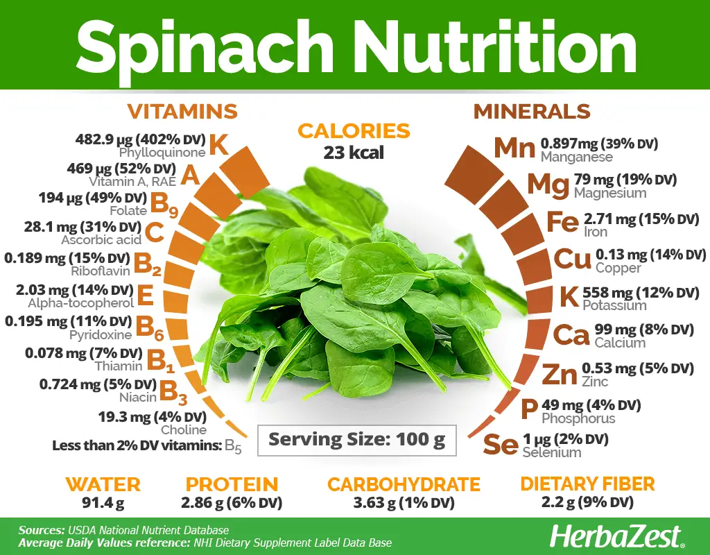 Spinach leaves beside an overview of their vitamins and minerals
